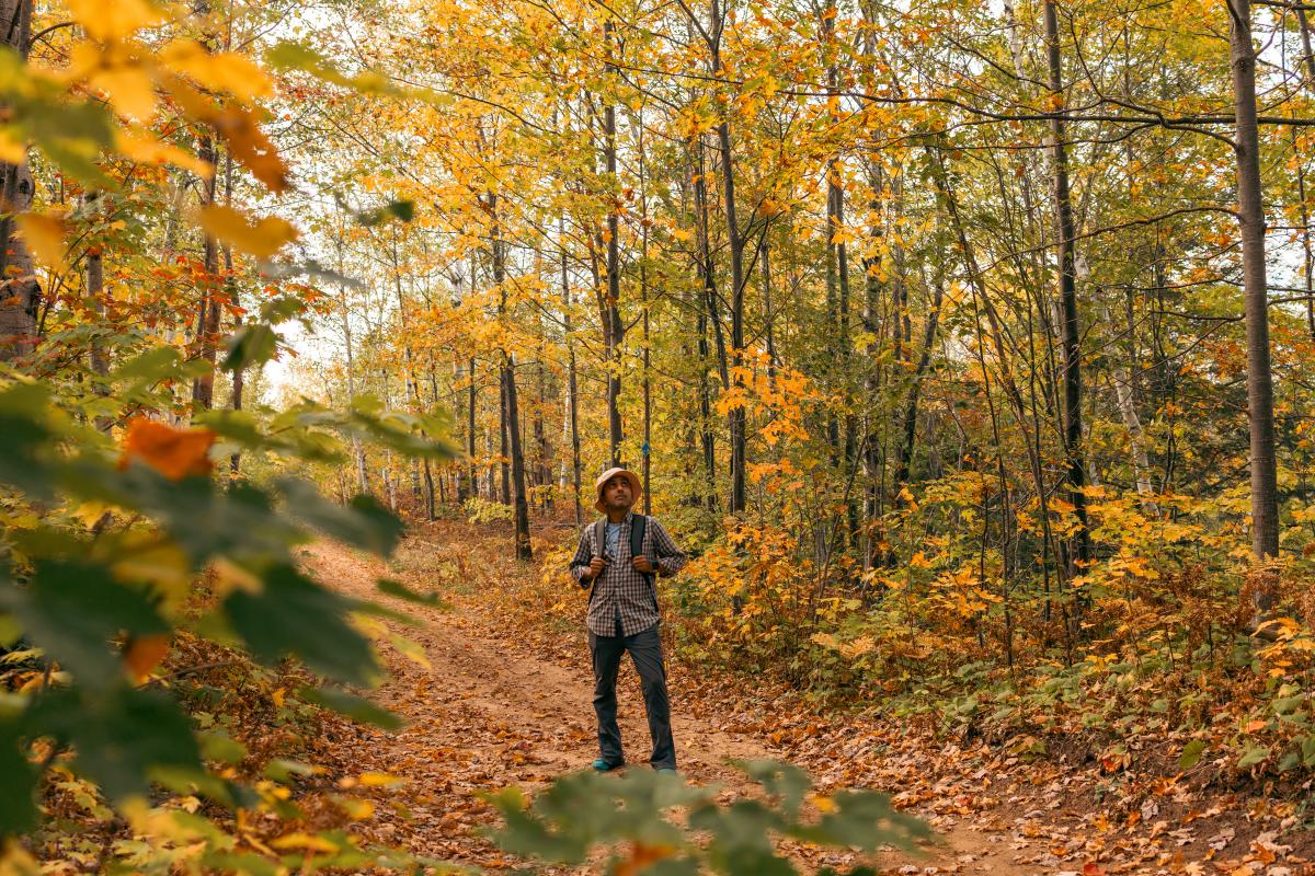 Fall Hiker at Maasto Hiihto Trails