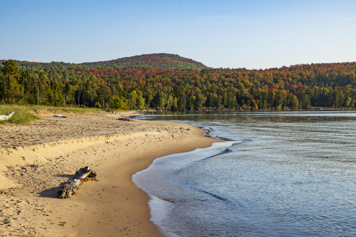 Sandy Beta Grise in fall with mountain in background