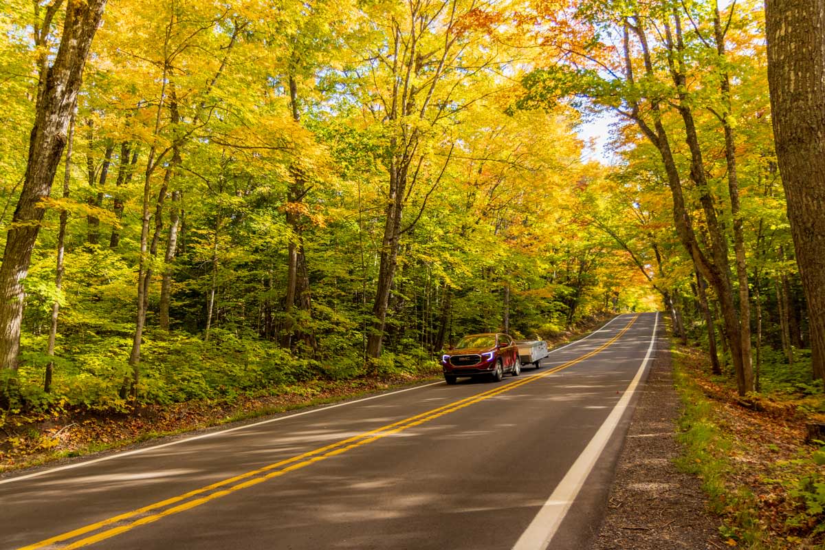 A red car drives under a bright canopy of leaves.