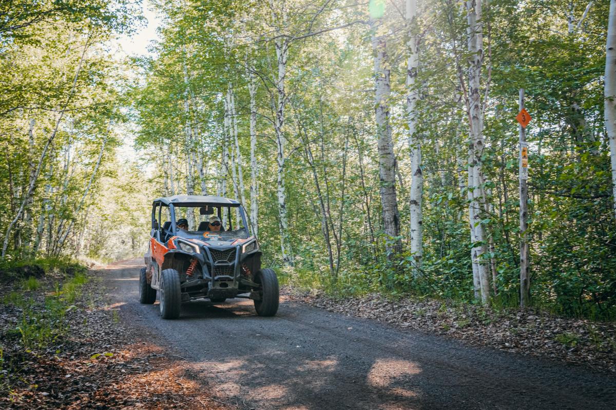 Side-by-side on ATV trail with birch trees in background.