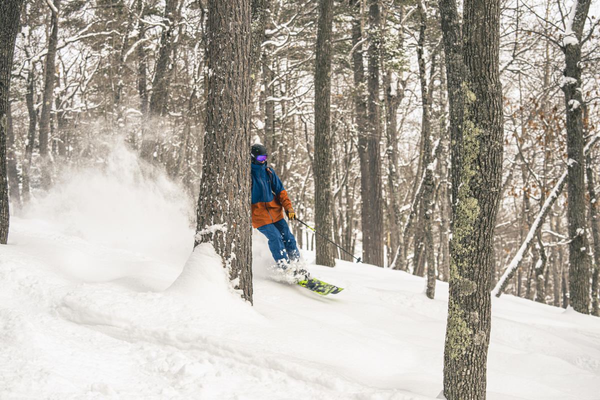 Skier shredding powder in forest