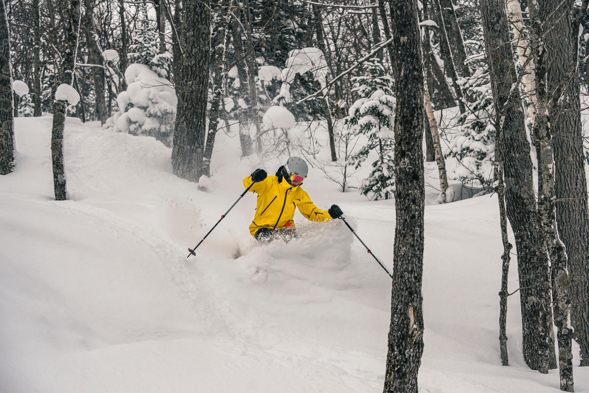 A skiier in a yellow jacket skis through the trees and powder at Mount Bohemia.