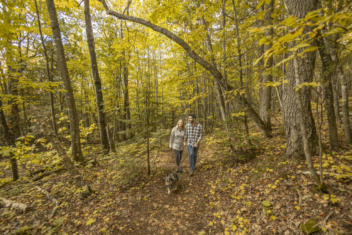 Fall Hike