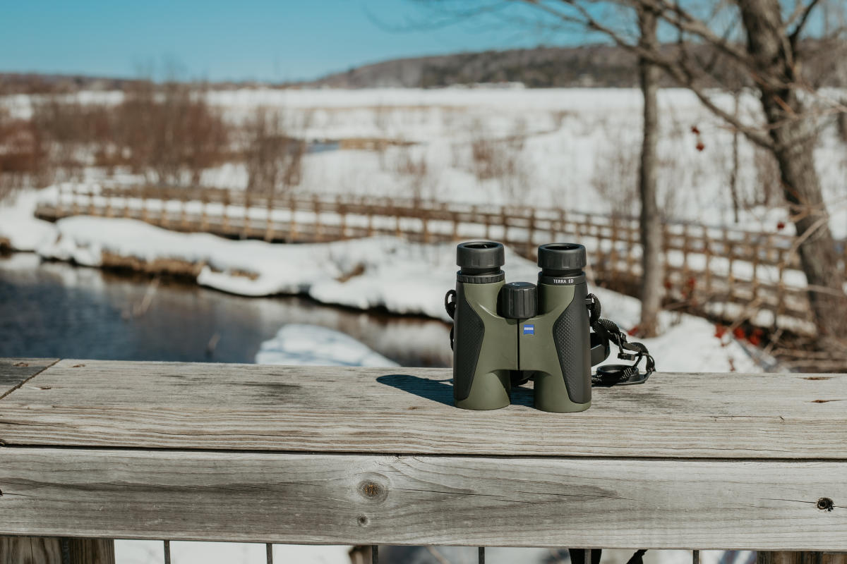 Binoculars rest on bridge railing. Boardwalk along river can be seen in background.