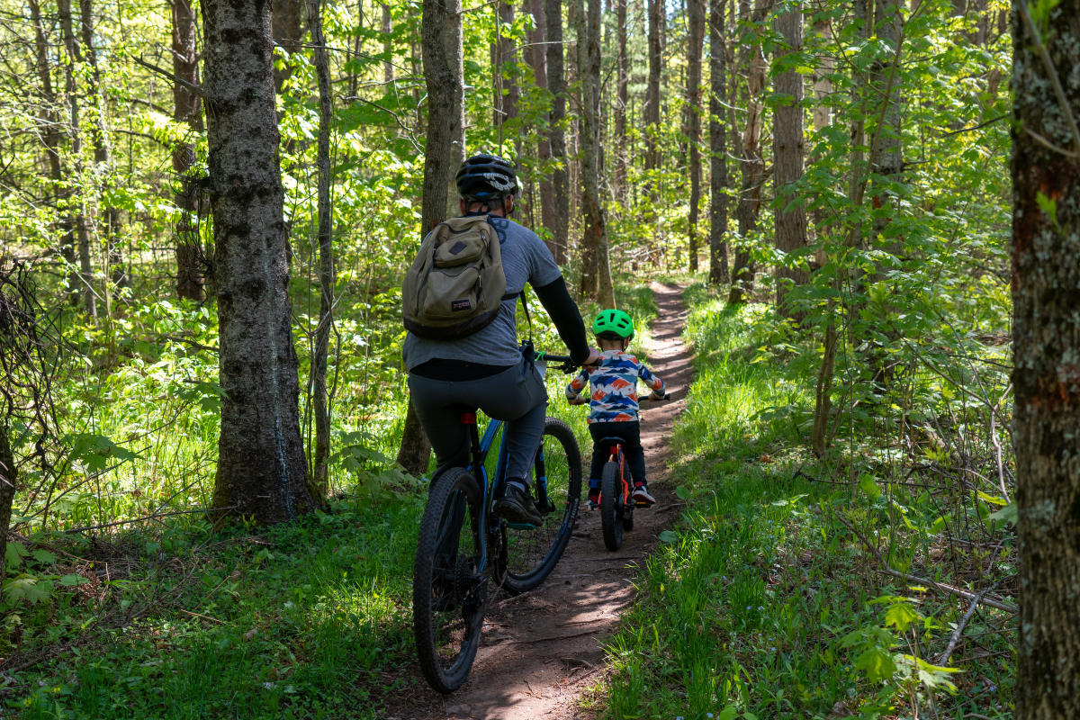 an adult rides a bike on a forested path behind a small child astride a bike