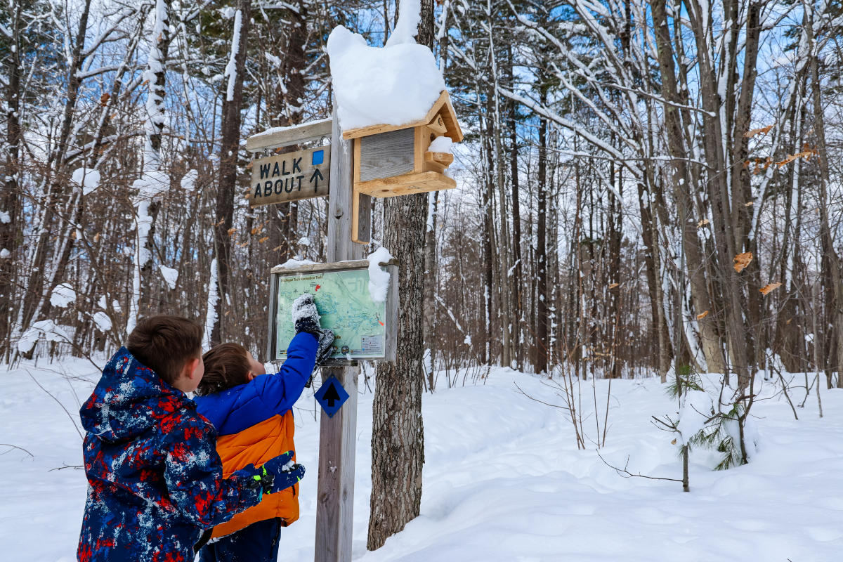 two small children look up at a sign in a snowy wooded glade