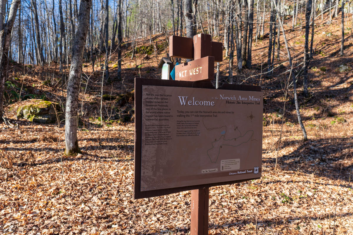 a sign stands in a forest blanketed with fallen leaves