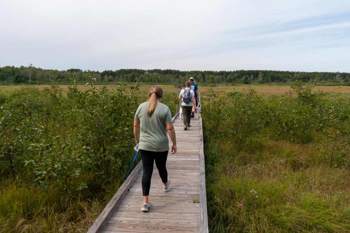 three figures walk ahead on a wooden boardwalk laid across a lush wetlands