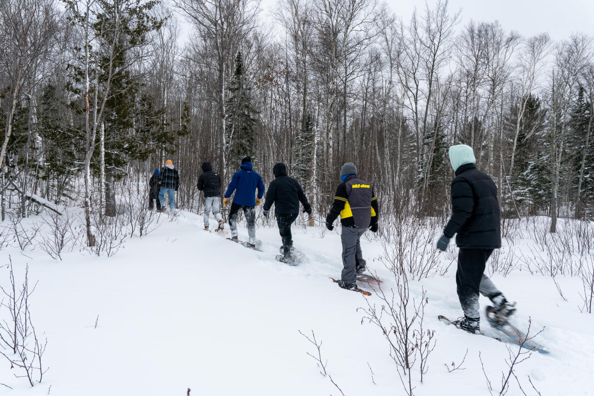 Group of snowshoers hike through the woods.