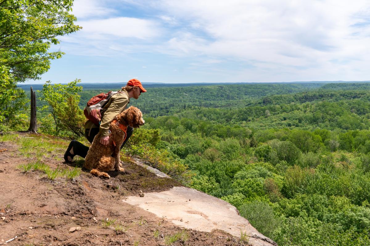 Hiker with dog on top of Silver Mountain overlooking forest.