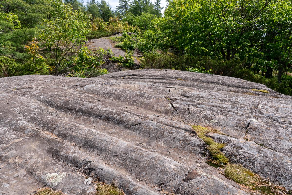Grooves of glacial movement in stone at Silver Mountain