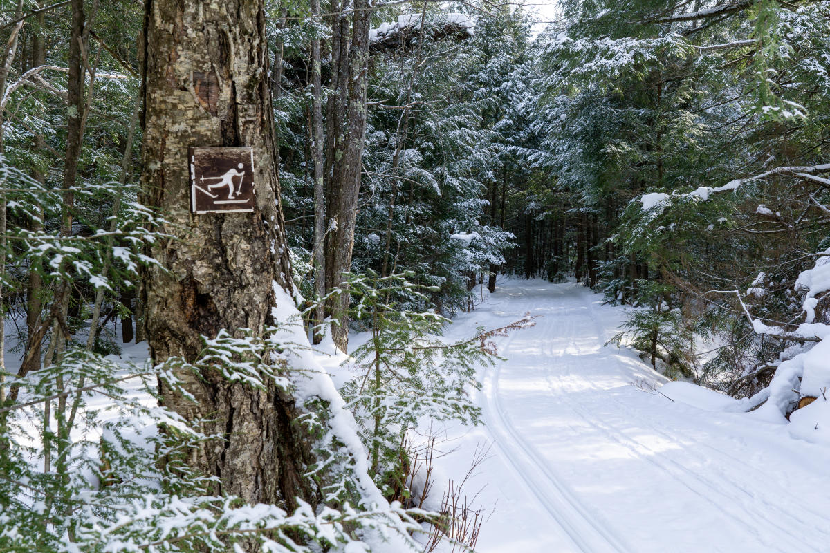 Cross Country ski trail sign posted on tree beside a trail.