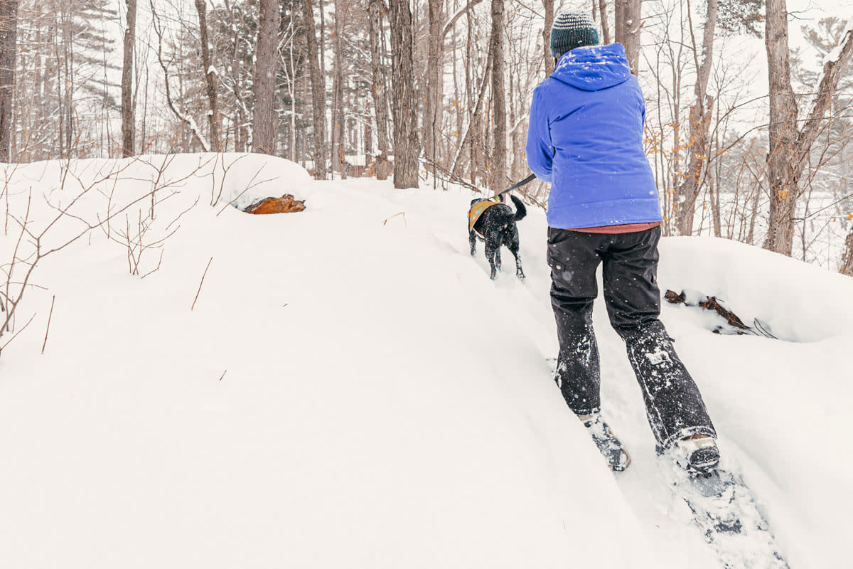 Snowshoe and dog