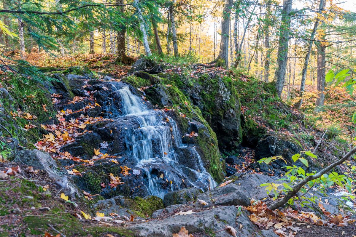 Wyandotte Falls near Twin Lakes