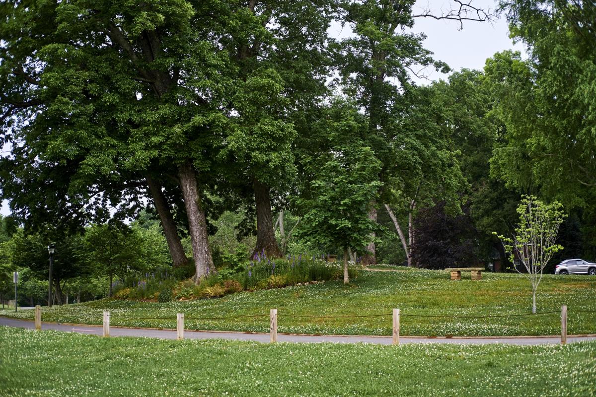 Indian Mound in Sequoyah Hills