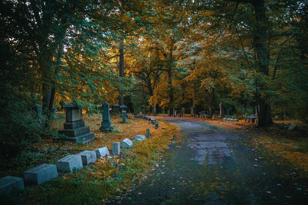 Forest Hill Cemetery
