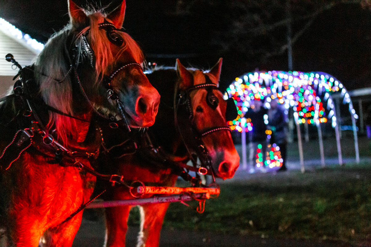 HORSE DRAWN WAGON RIDE THROUGH HOLIDAY LIGHT DISPLAY AT NAY AUG PARK