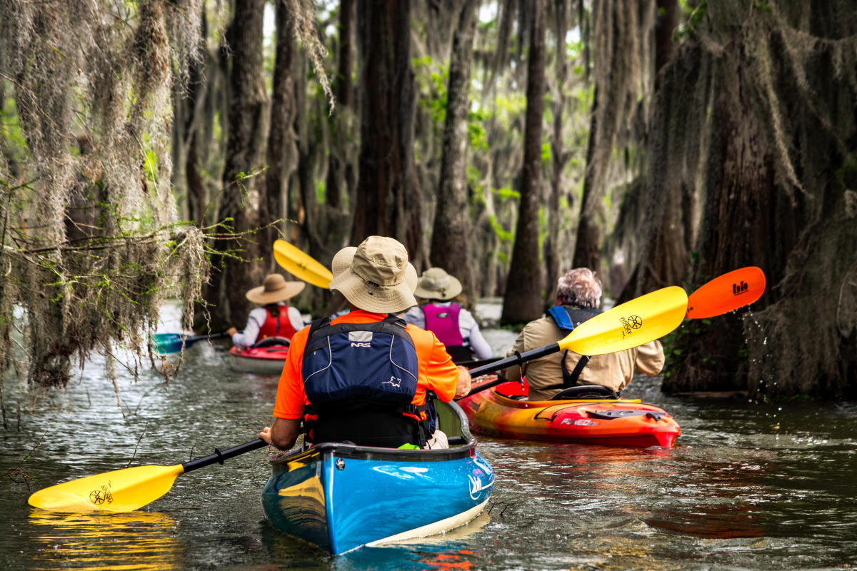 Group of Kayakers at Lake Martin