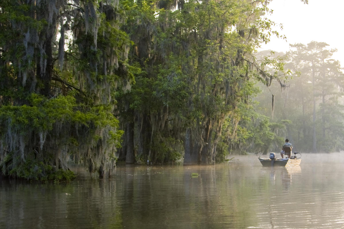 Atchafalaya Basin - Fishing