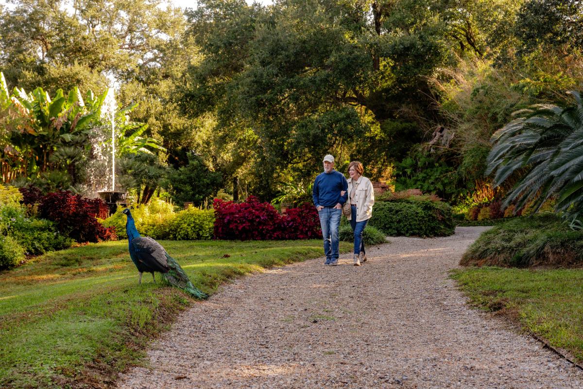 Rip Van Winkle Gardens on Jefferson Island