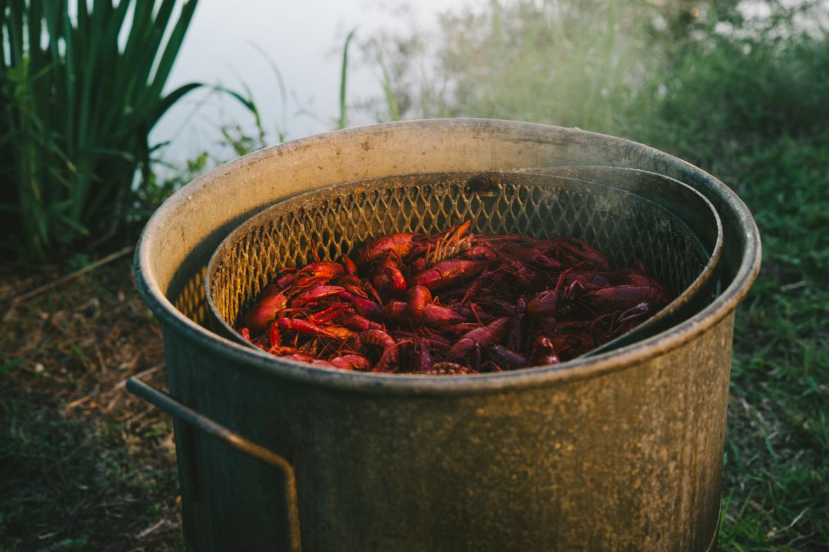 What Kind of Cajun Doesn’t Eat Crawfish?