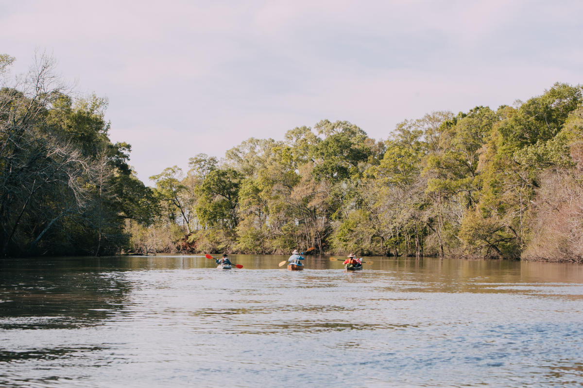 Paddlers on the Vermilion