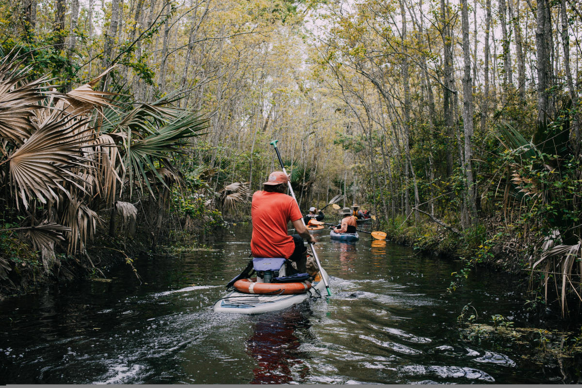 Palmetto Island Canoe Trail
