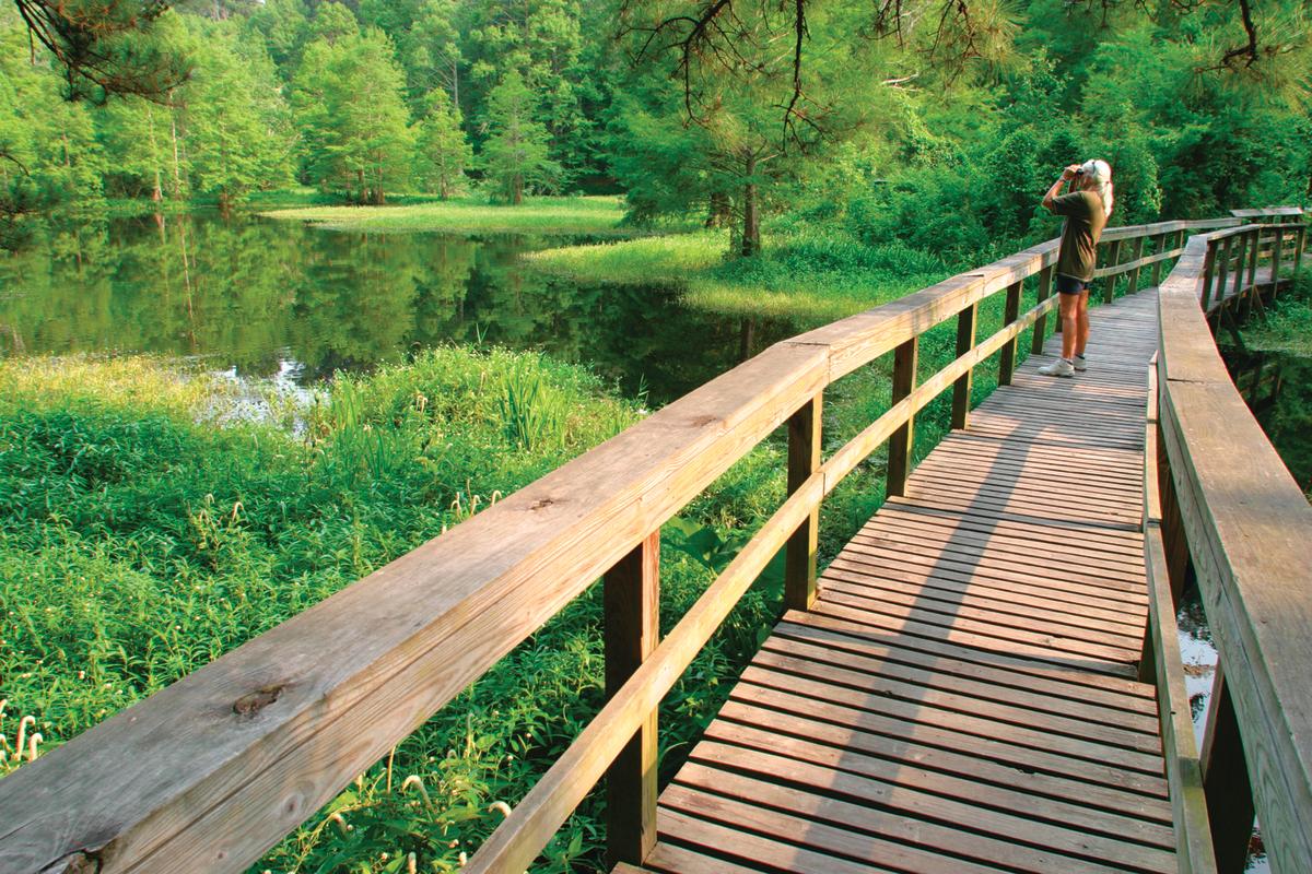 Louisiana's Northshore