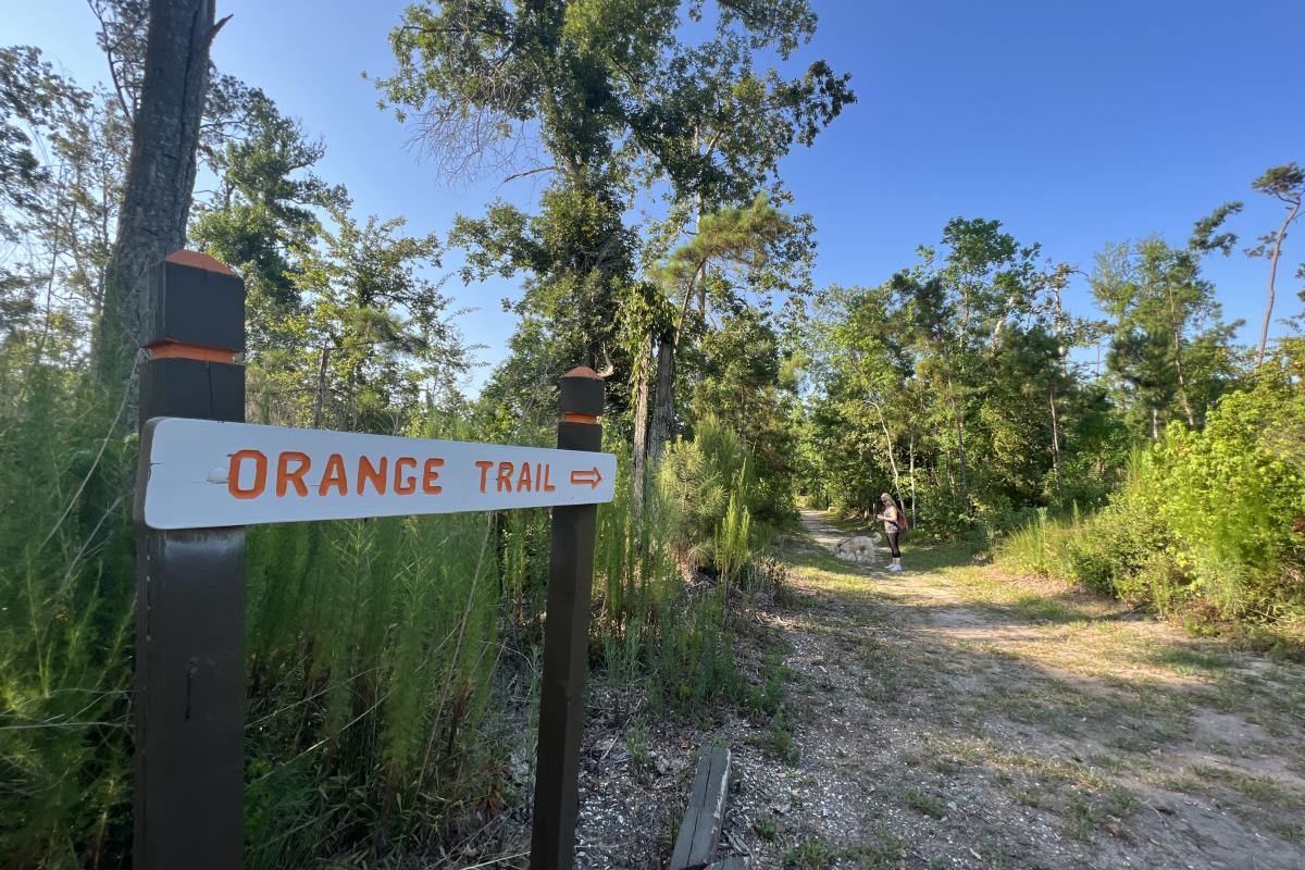 Orange Trail Sign at Sam Houston Jones State Park