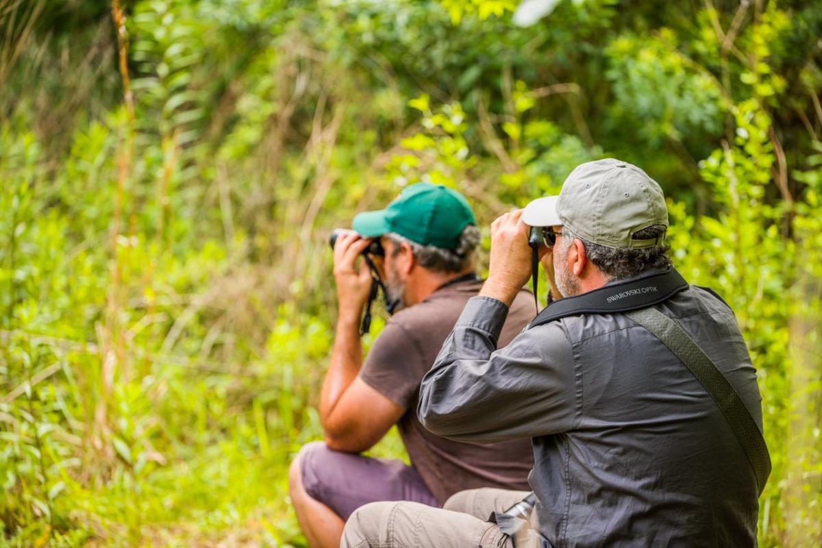 Birding Between Borders Fam Trip 2023