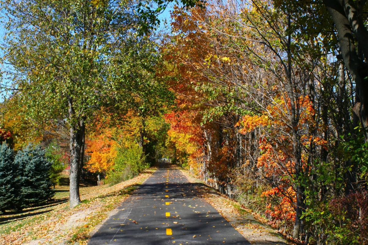 North Coast Inland Trail Autumn