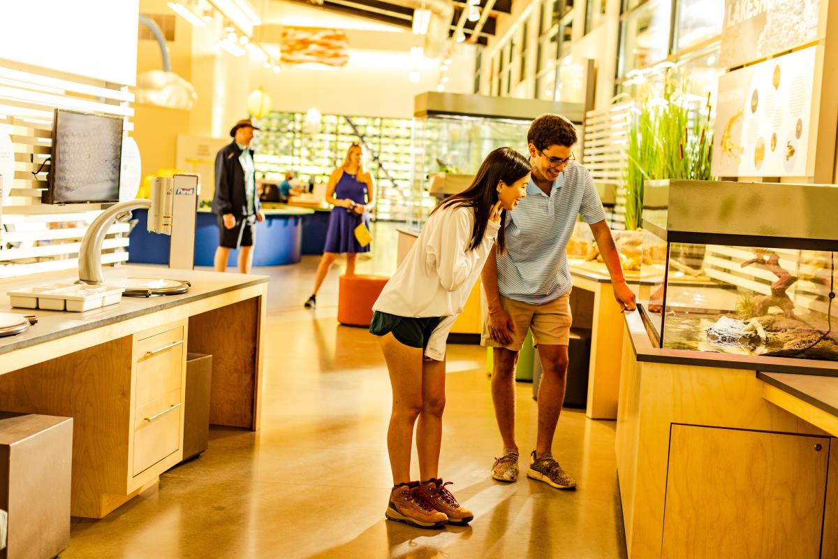 People viewing animals at the Quest Center