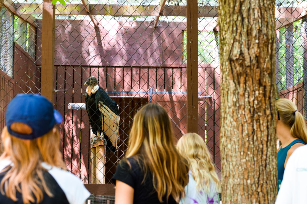 Carolina Raptor Center