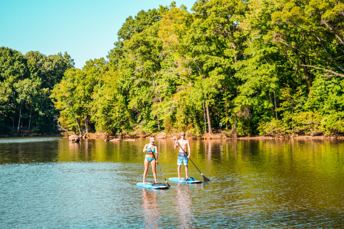 People Paddleboarding At The Latta Nature Preserve 