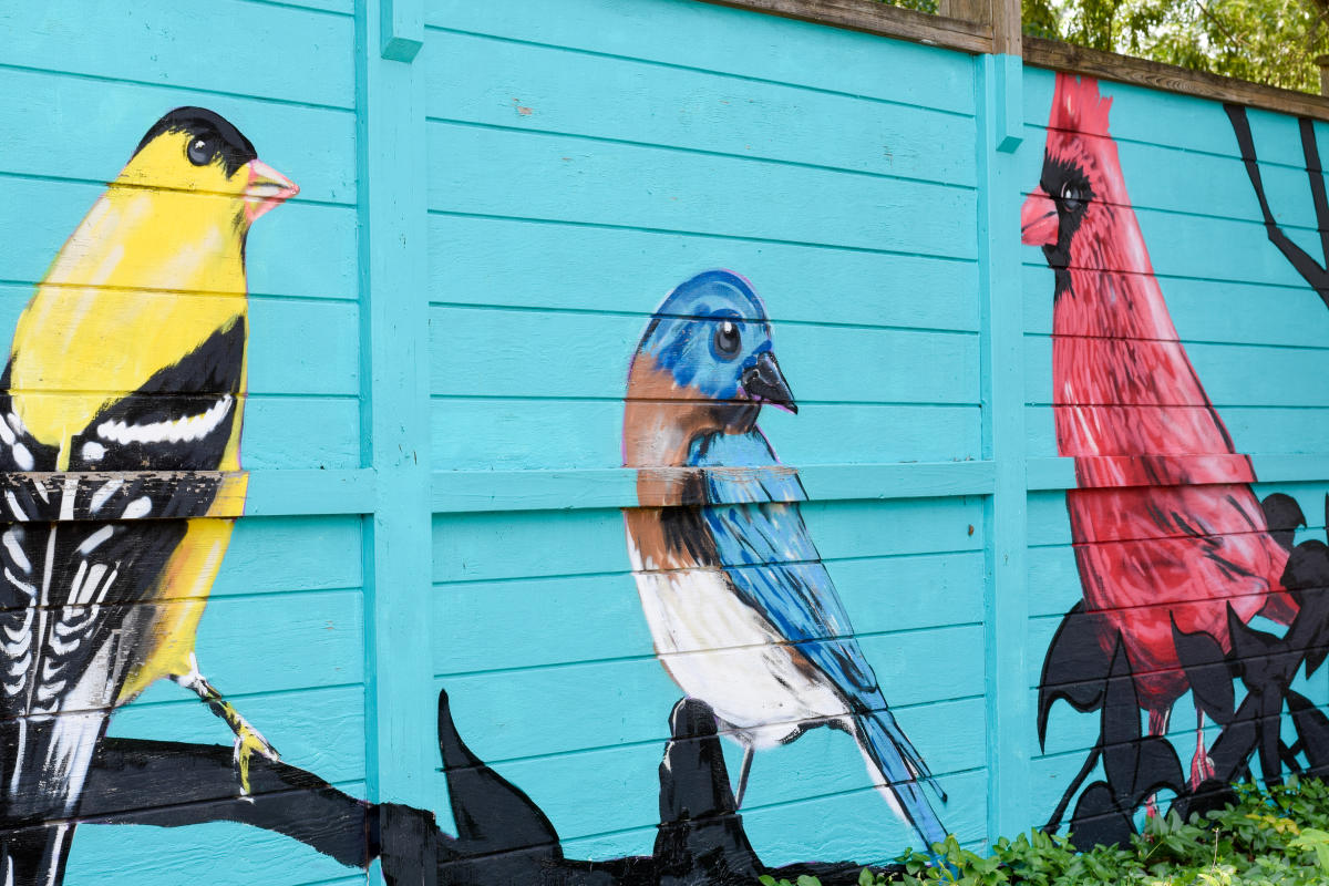 Bird Mural