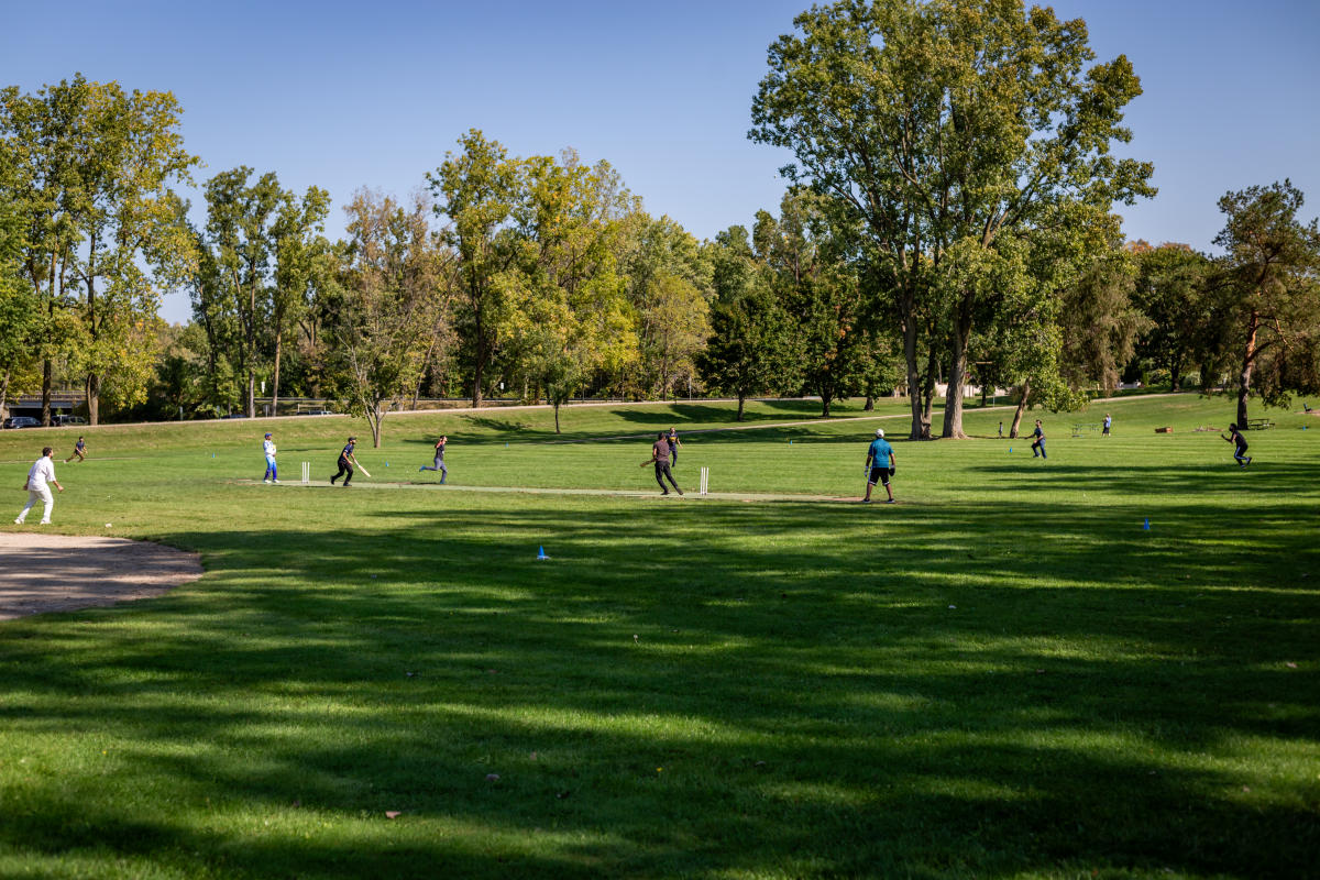 Cricket Pitch at Delta Mills Park