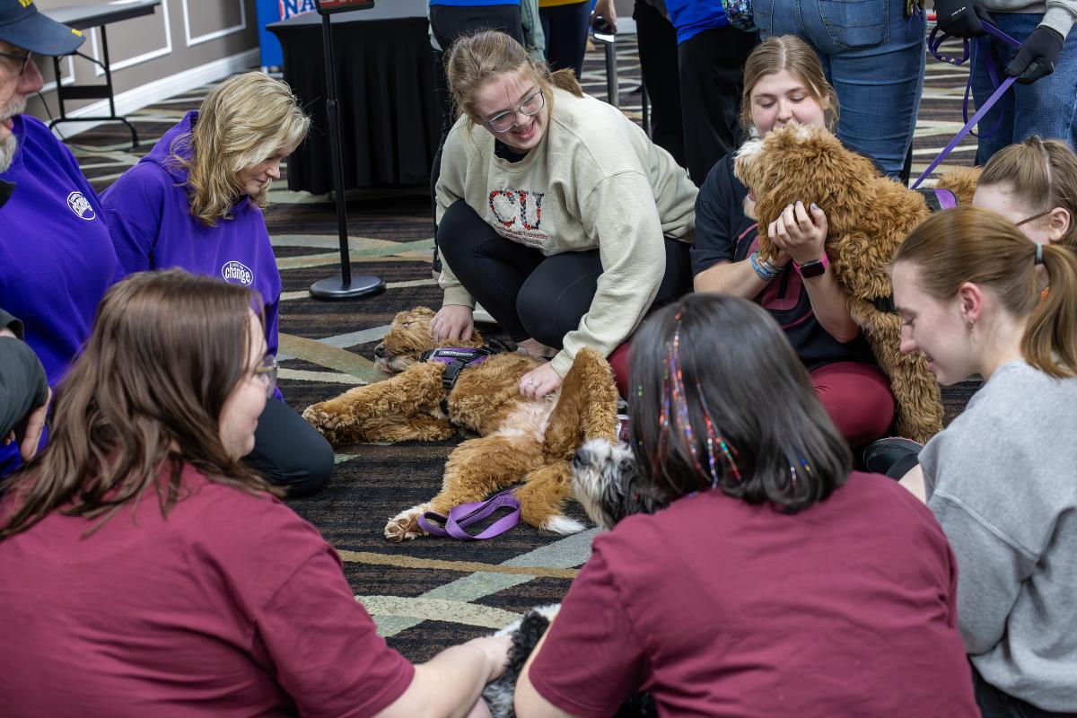 Group of people on the floor petting therapy dogs