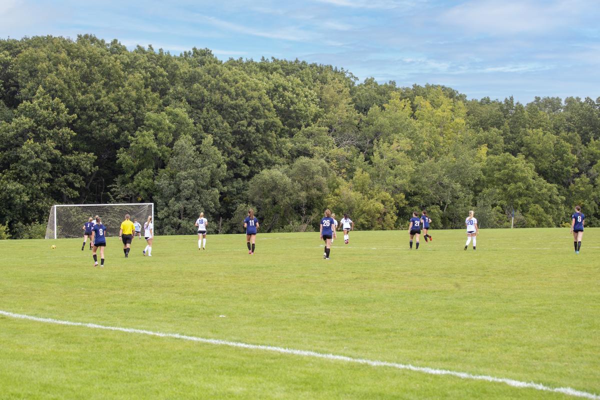 Soccer players on a field