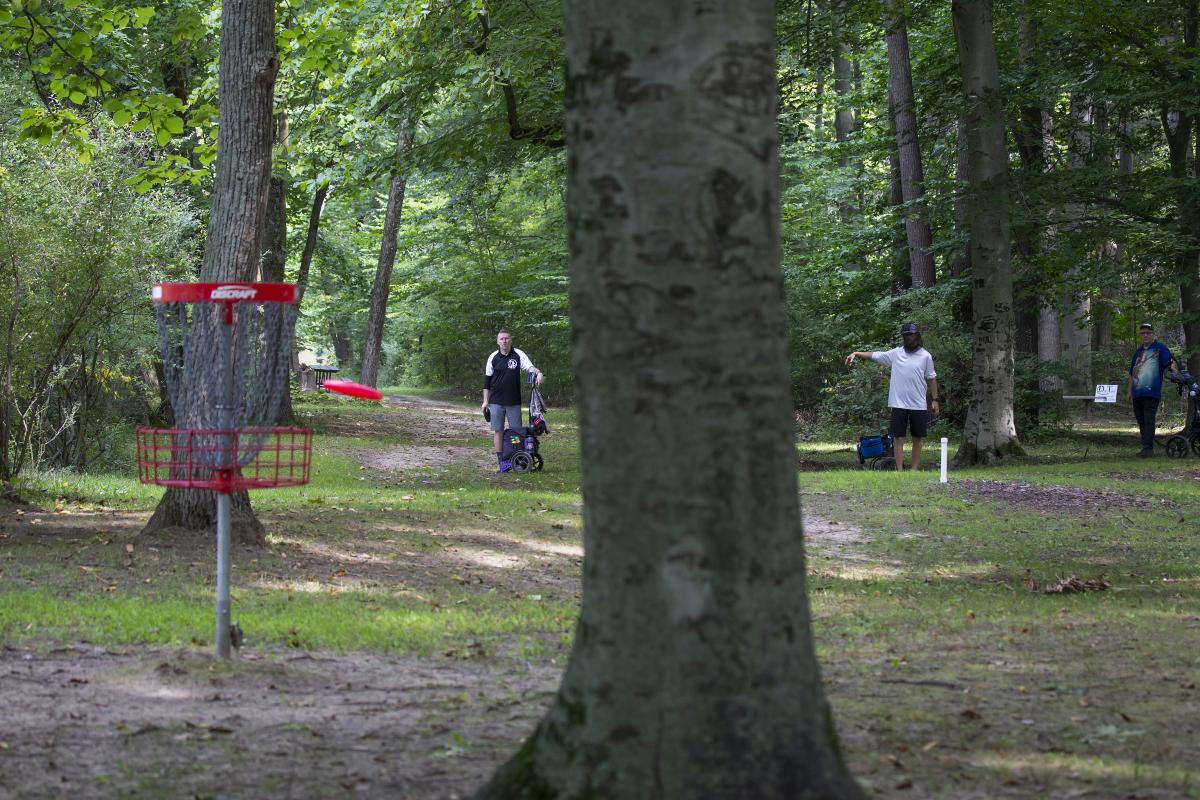 Person throwing a disc into a basket while avoiding trees