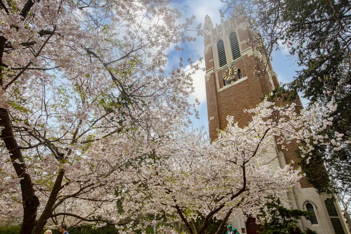 Beaumont Tower in Spring Blooms