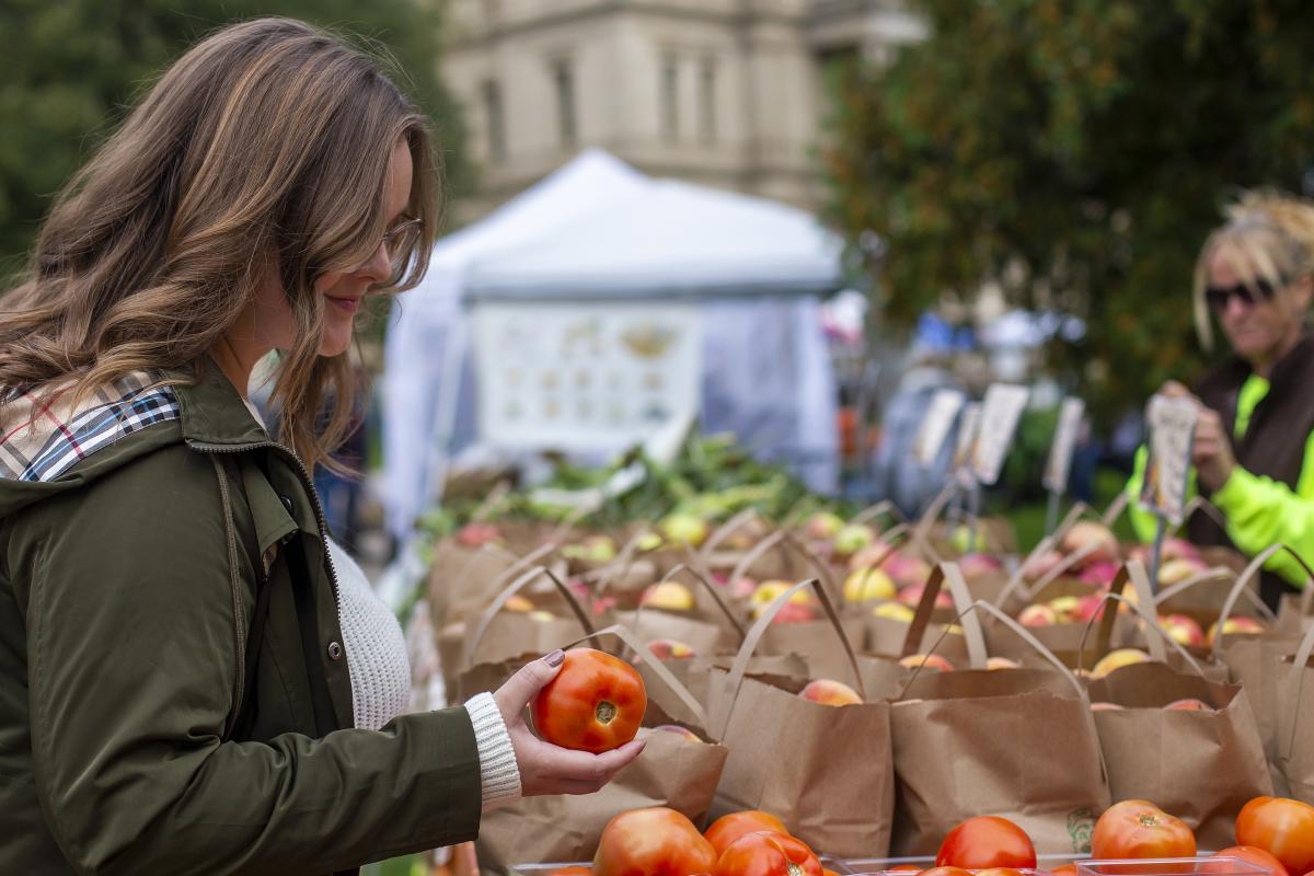 Person looking at apples at Farmers Market