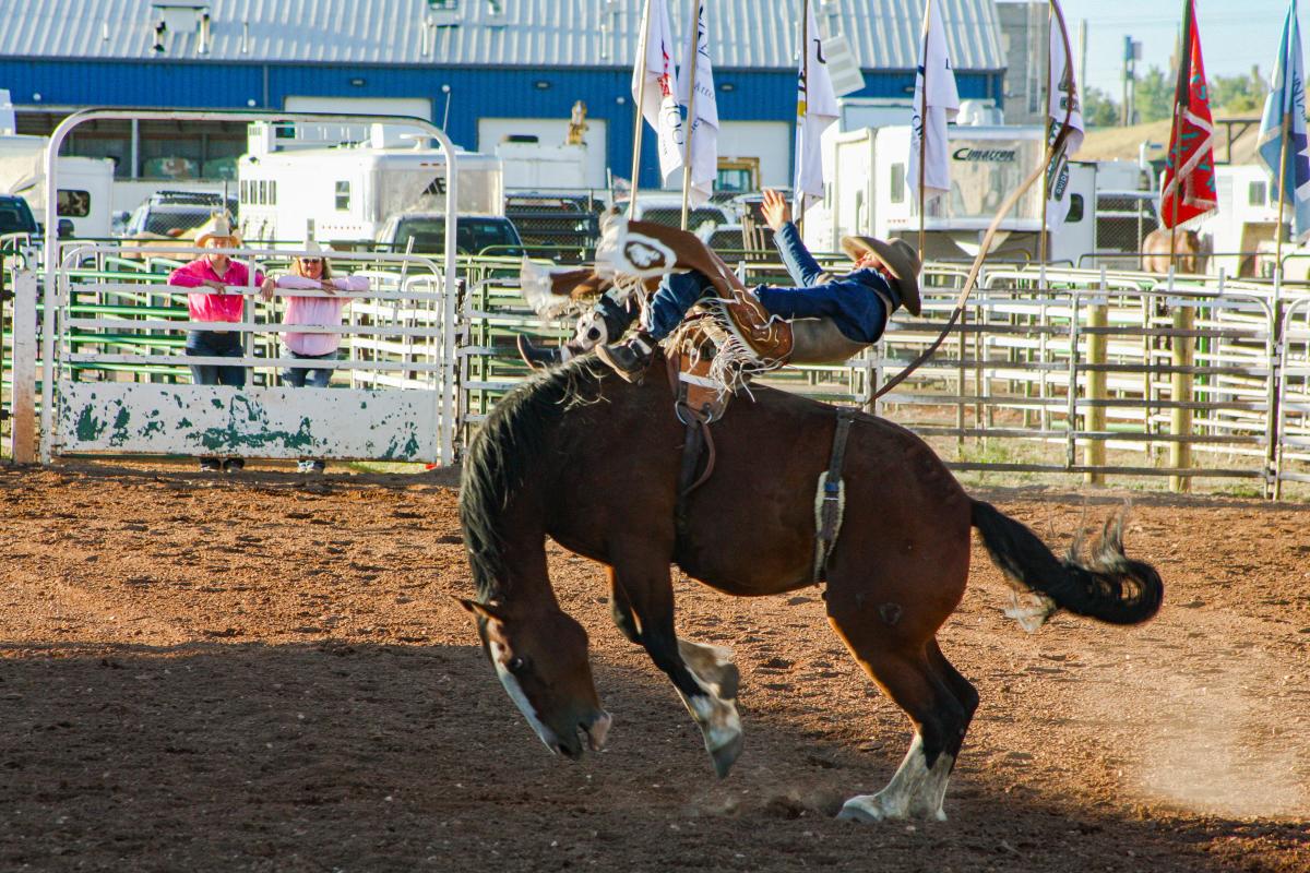 Bucking Broncs Jubilee Days 2023