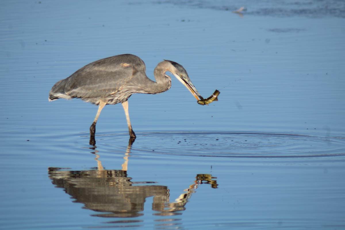 birding hotspots