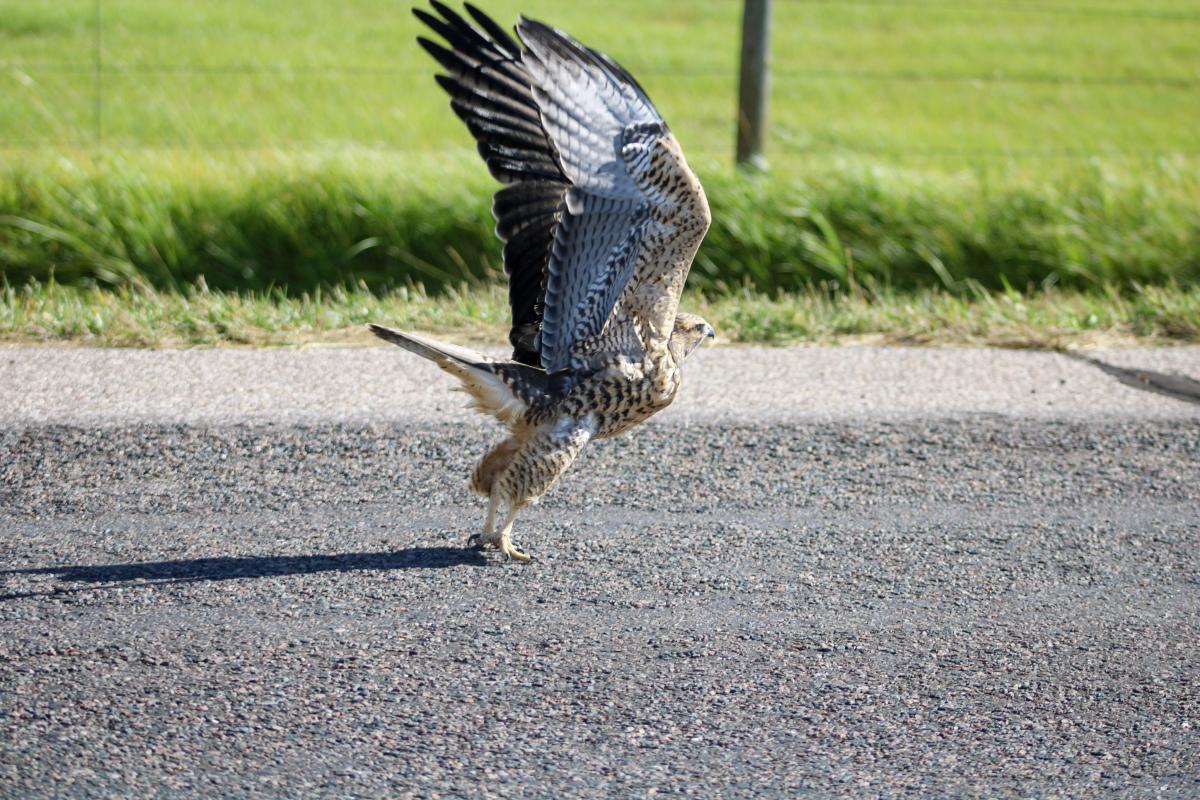 birding hotspots