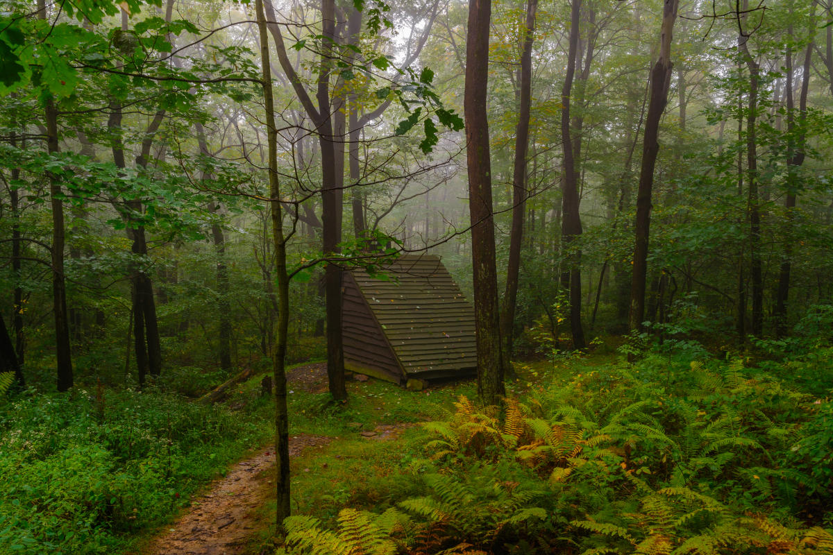 Kaczmarek_Laurel Highlands Hiking Trail_Westmoreland County