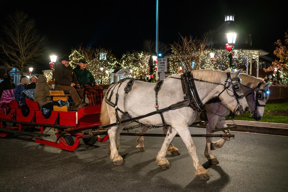 Horse-drawn carriage rides are a popular feature at Light Up Ligonier.
