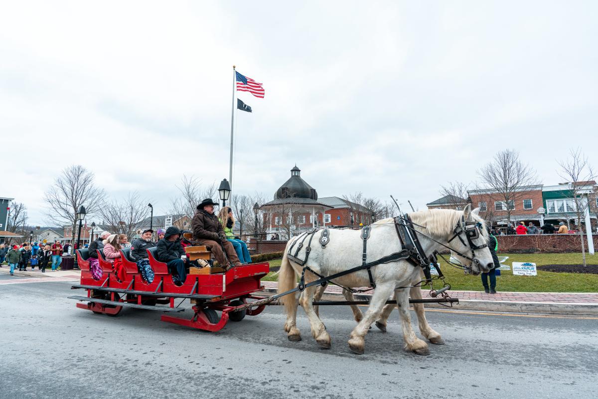 Carriage rides are a popular option at the Ligonier Ice Fest.