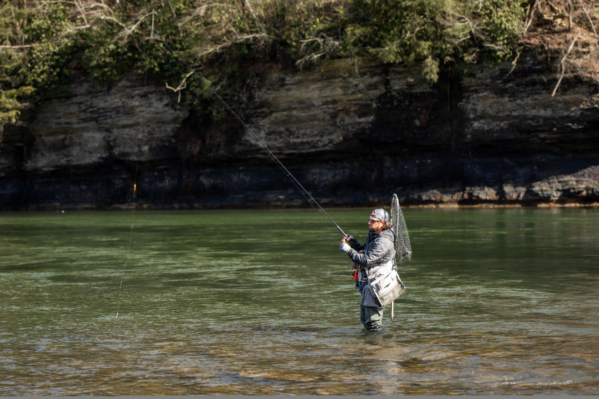 Trout Fishing in Confluence