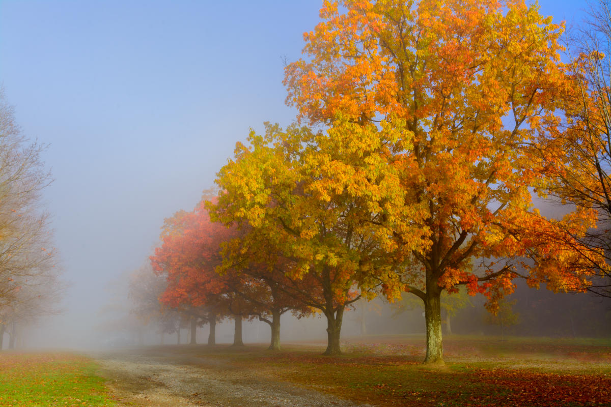 Keystone State Park was voted the top fall foliage destination in the United States.