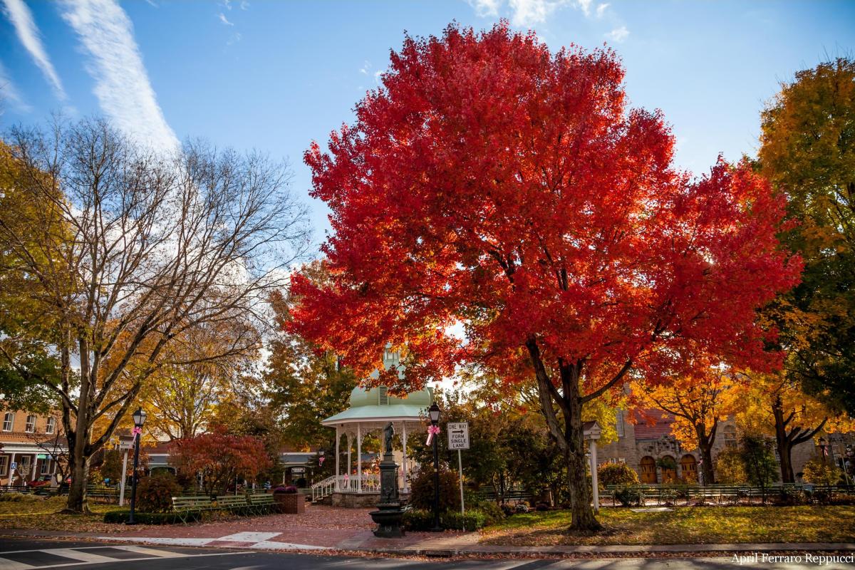 Fall Ligonier